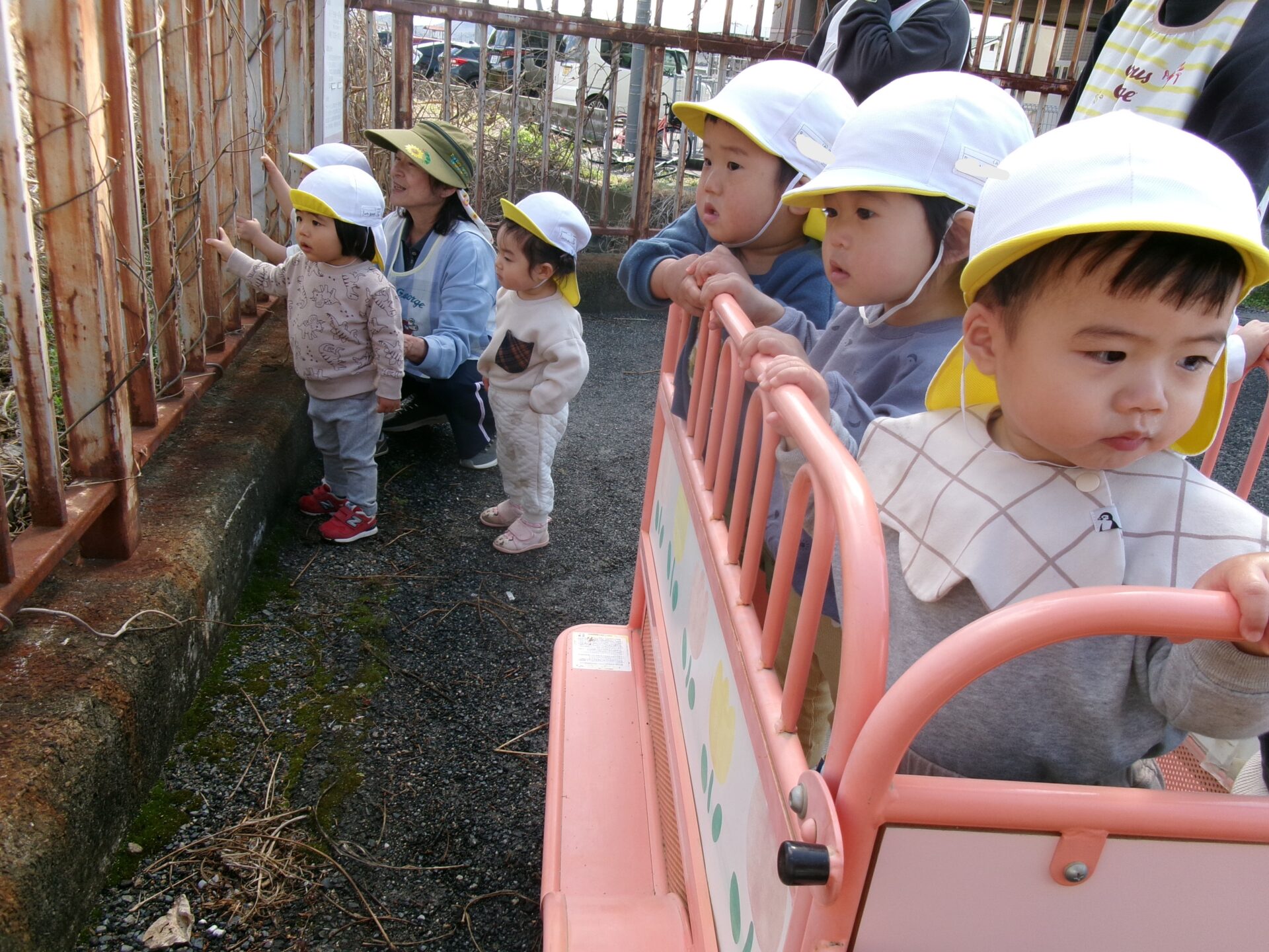お散歩に行ったよ🚃（たんぽぽ組） 画像