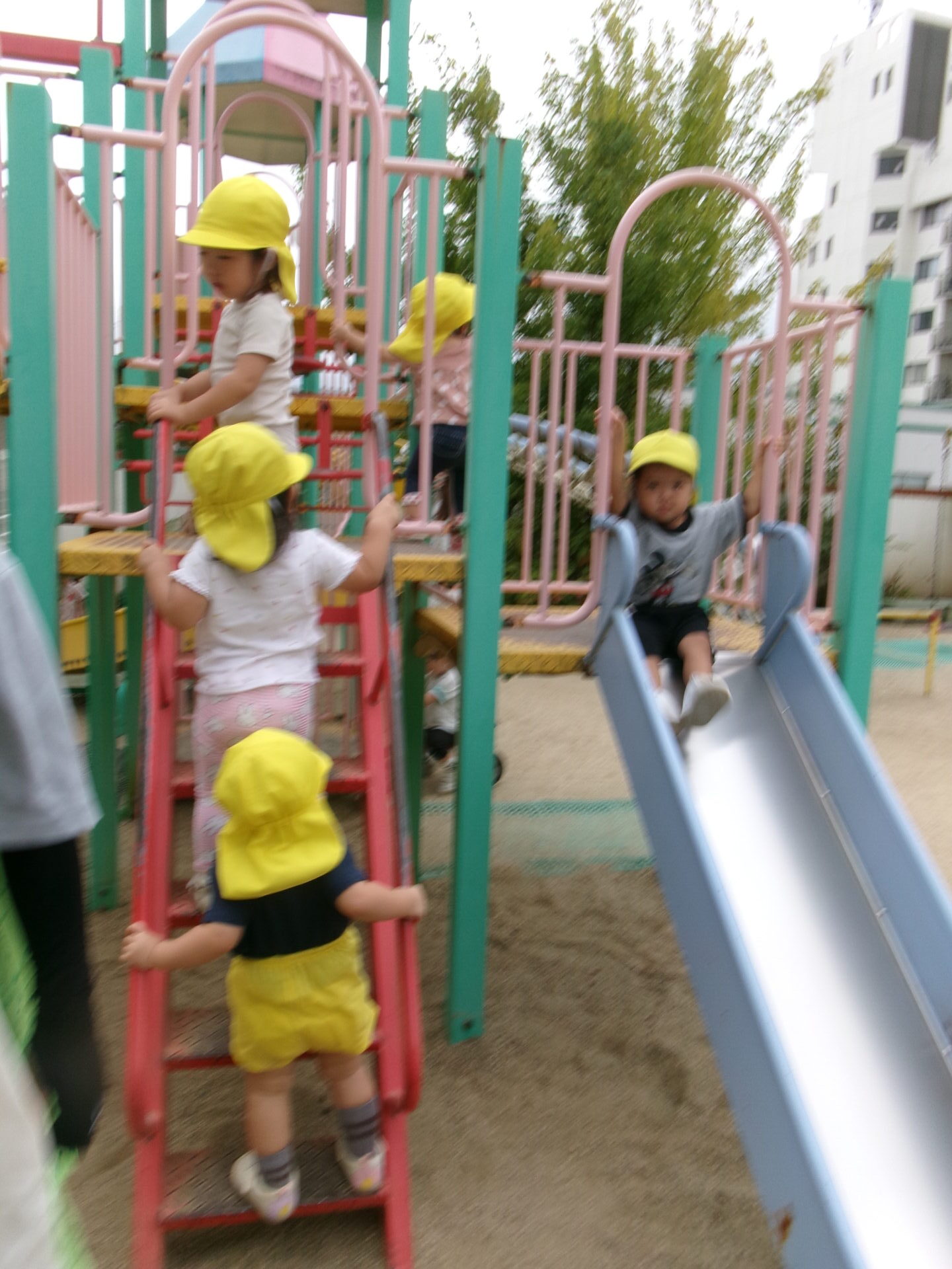 すべり台楽しいな😊（ひまわり組） 画像