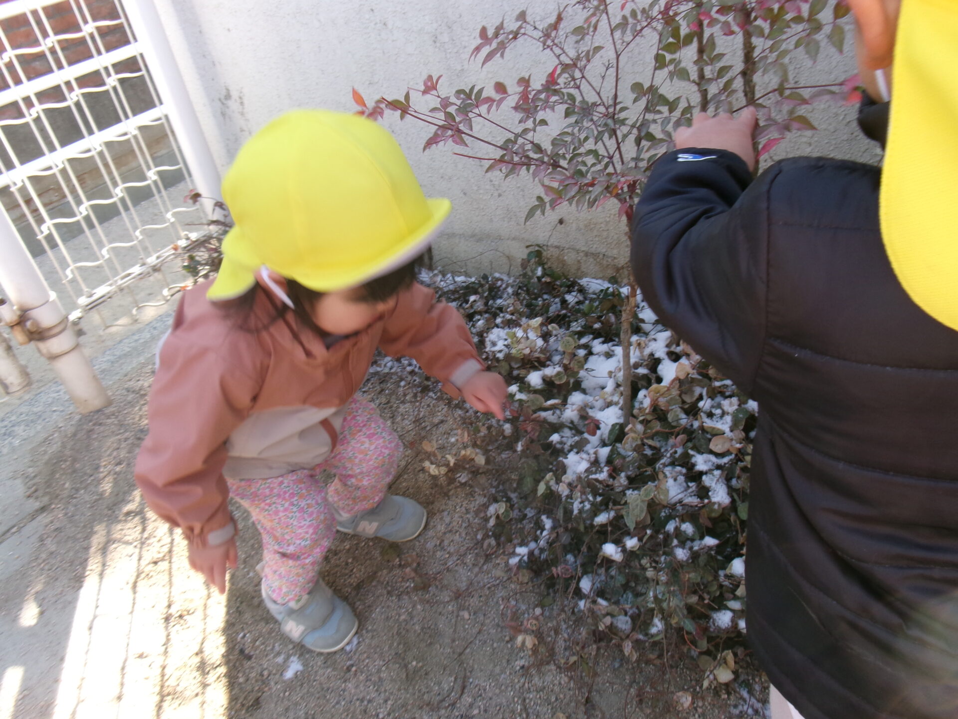 雪って冷たいね⛄ 画像