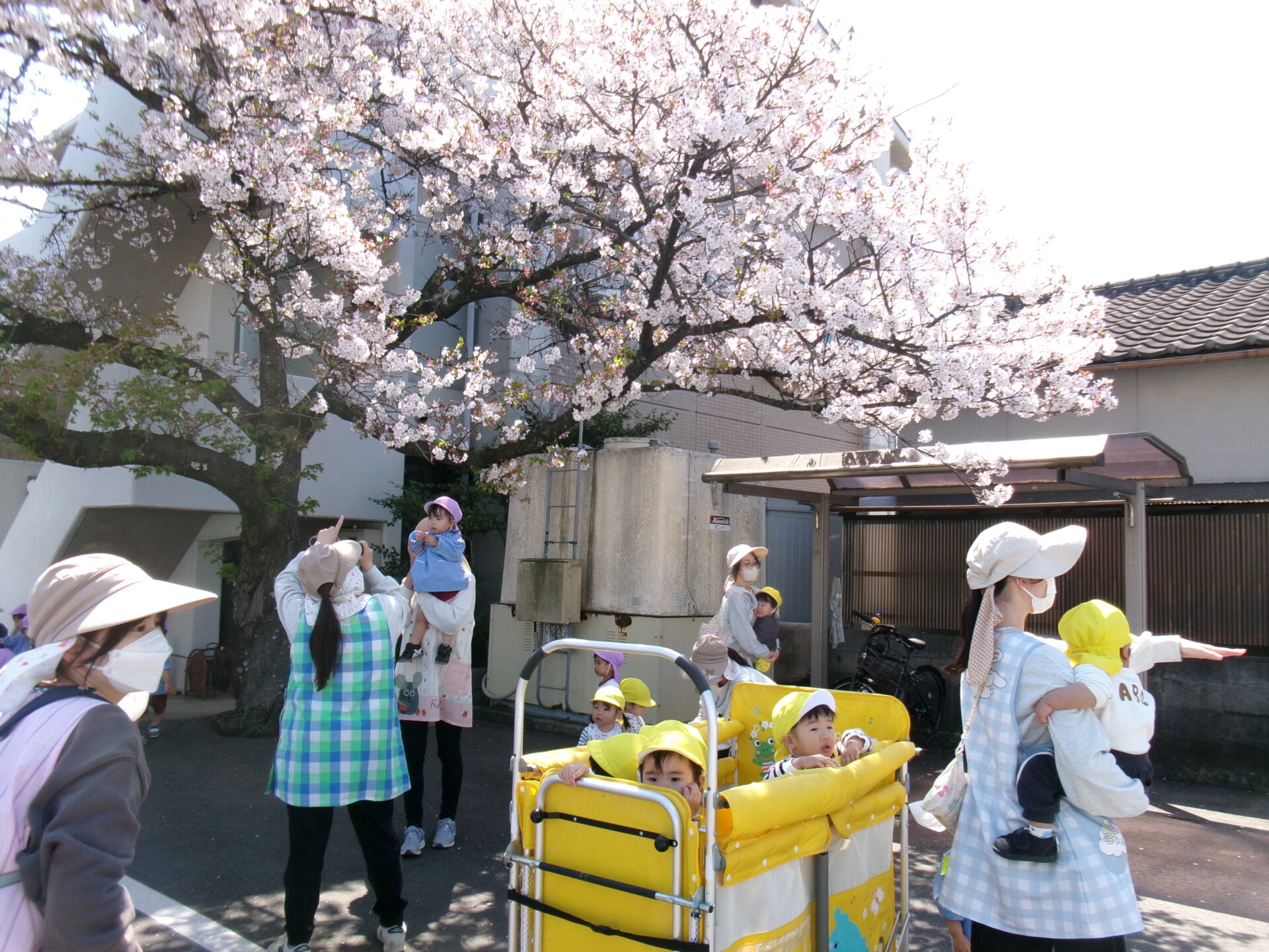 ひまわり組になって１カ月🌻 画像