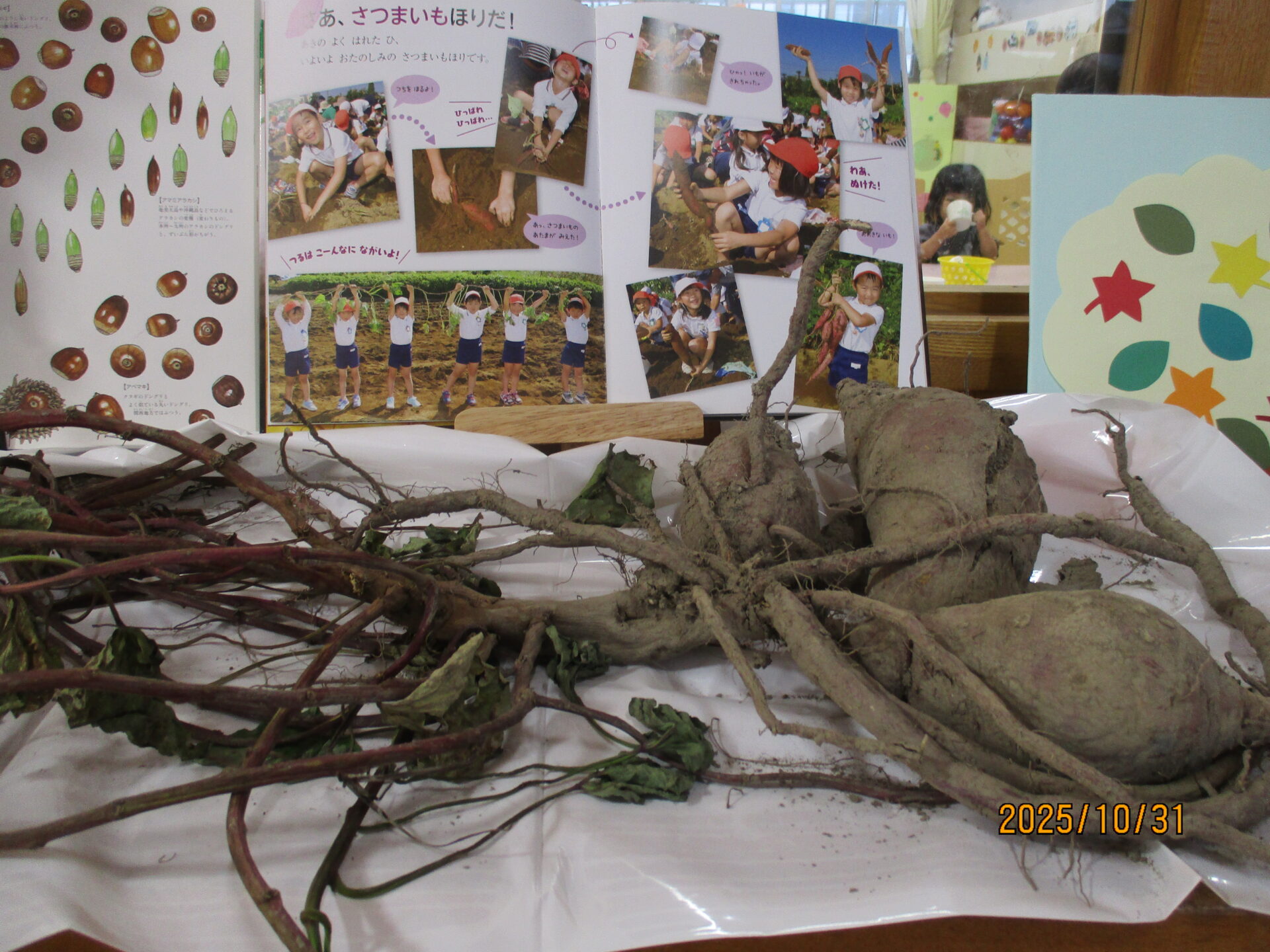 11月の園だより 画像